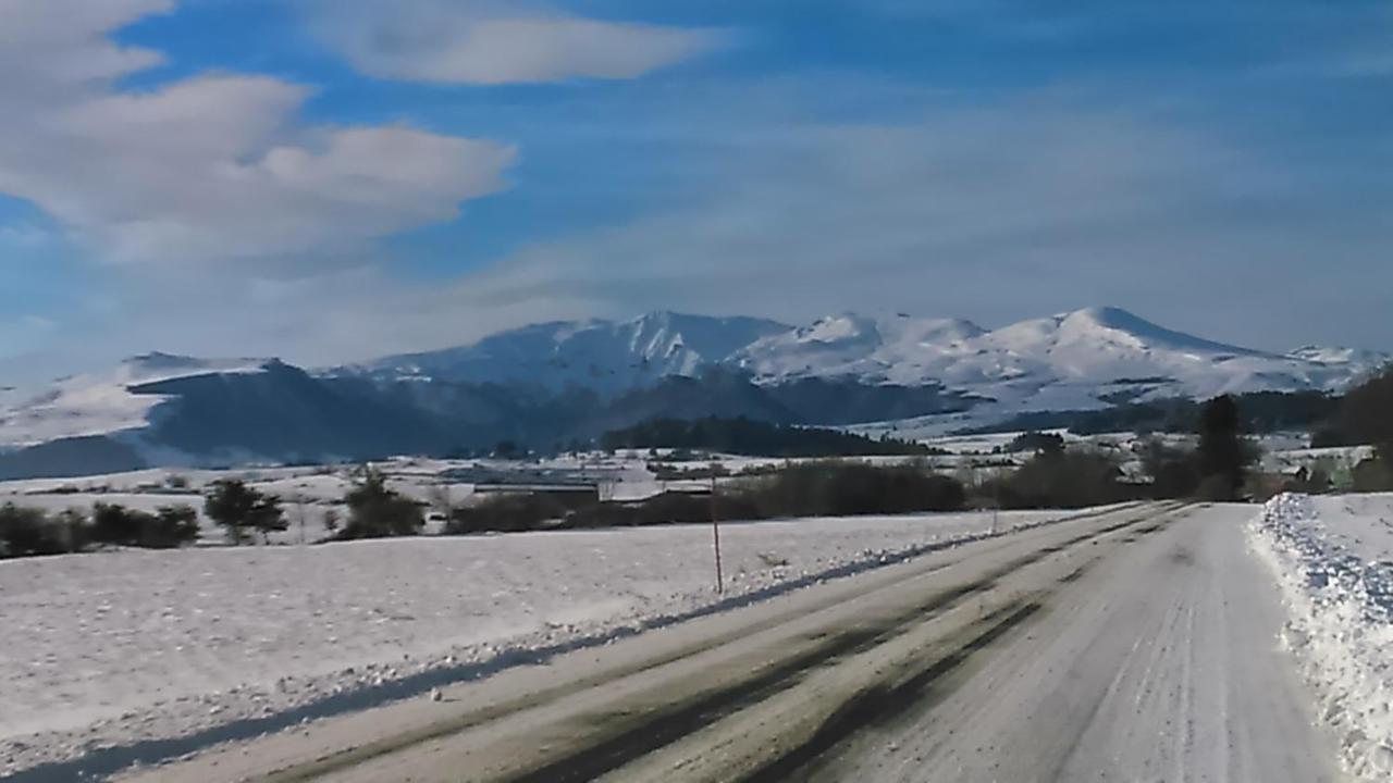 Tulipe, 5 Personnes, Entre Sancy Et Volcans D'auvergne Orcival