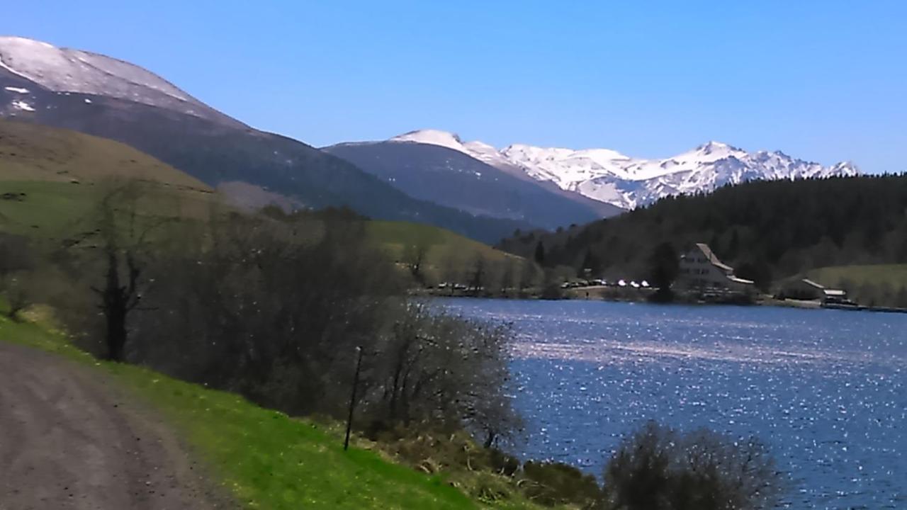 Tulipe, 5 Personnes, Entre Sancy Et Volcans D'auvergne Apartment Orcival