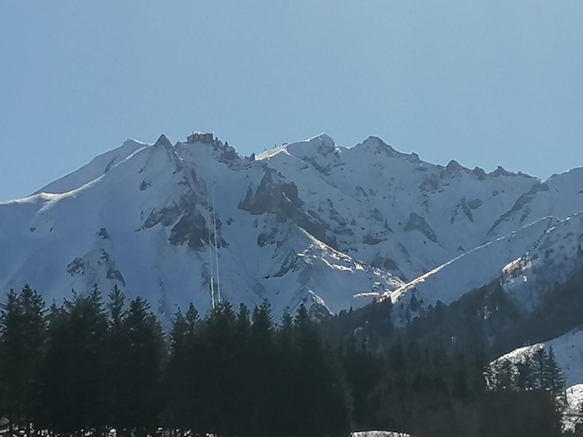 Apartment Tulipe, 5 Personnes, Entre Sancy Et Volcans D'auvergne Orcival