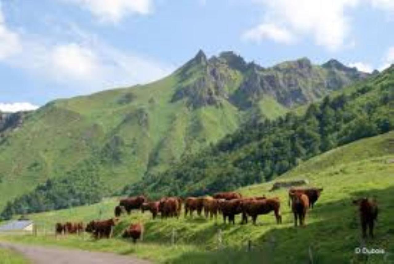 Tulipe, 5 Personnes, Entre Sancy Et Volcans D'auvergne Apartment Orcival